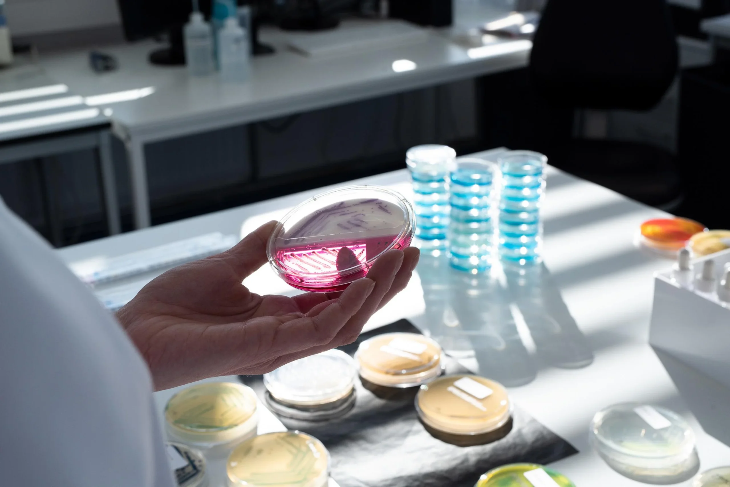 Wettbewerbsvorteil durch Sicherheit: Die Vorteile der Lebensmittelsterilisation