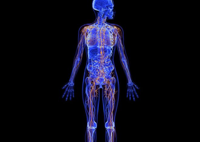 LymphöDEM und Kaffee: So ist die Auswirkung gen dies Lymphsystem