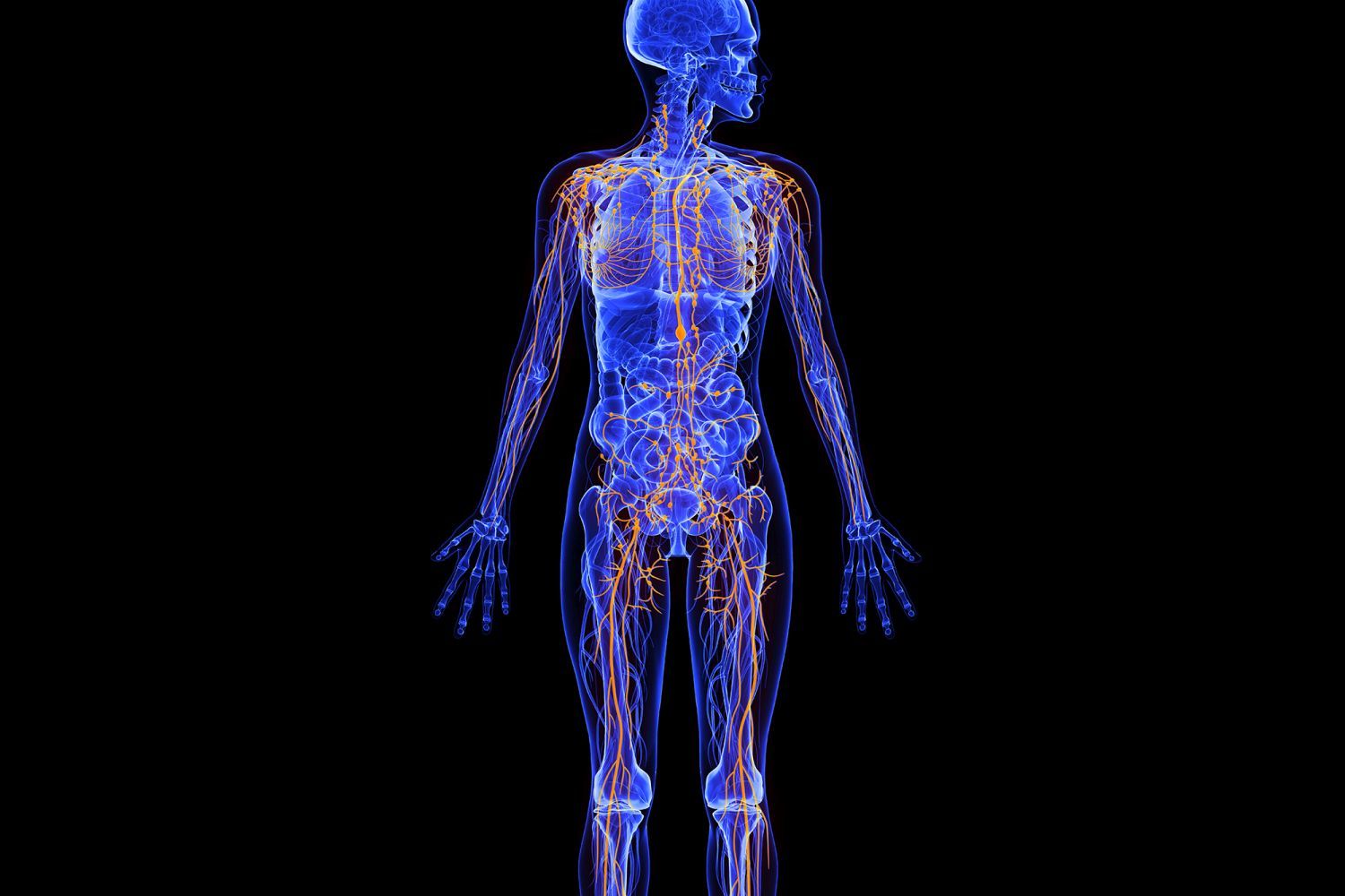 LymphöDEM und Kaffee: So ist die Auswirkung gen dies Lymphsystem